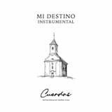 Mi destino instrumental