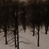 such a small heart. so full of so much hate (ft.lovelifeallthetime)