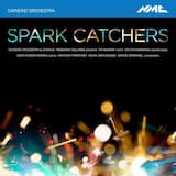 The Spark Catchers