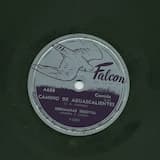 Camino de Aguascalientes