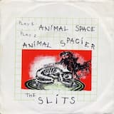 Animal Space