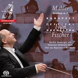 Symphony no. 3: I. Kräftig Entschieden