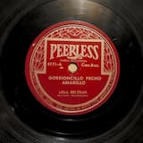 Gorrioncillo pecho amarillo