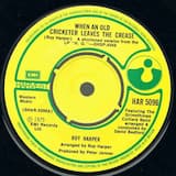 Hallucinating Light (acoustic version)