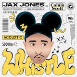 Whistle (acoustic)