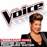 Bridge Over Troubled Water (The Voice Performance)
