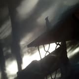 Between Day And Nite (Hongos Longos Remix)