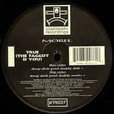 True (The Faggot Is You) (Deep Dish Poof Daddy remix)