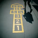 Lepidoptera, Part II