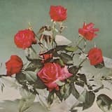 canvas in ur gallery