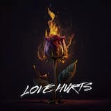 LOVE HURTS