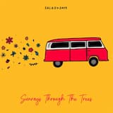 Sunrays Through the Trees