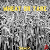 Wheat or Tare