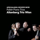Piano Trio, op. 50: I. Impetuoso
