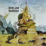 Birds Flying Into Buildings