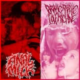 FUTURISTIC FAT BITCH MILKING MAYHEM