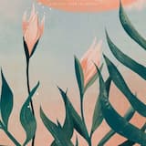 Straight From the Heart