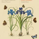 Dominus Regnavit: Dominus Regnavit