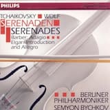 Serenade for Strings in C, op. 48: Pezzo in forma di sonatina: Andante non troppo - Allegro moderato