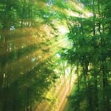 Autumn by the Lake 60sec