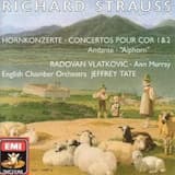 Horn Concerto no. 1 in E-flat major, op. 11: I. Allegro