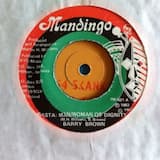 Rasta Man/Woman of Dignity