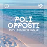 Poli opposti