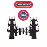 It's Written All Over My Face