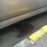 The Moment Is Gone Now