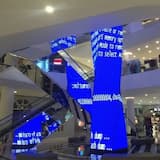 freedom from the world