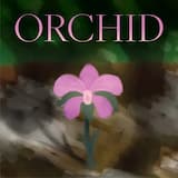 Orchid