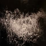 Eros III (a nuestros padres y amig@s)