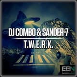 T.W.E.R.K. (radio edit)