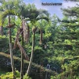 Can You Feel My Light