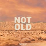 Not Old (extended mix)