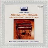 Sonate für Arpeggione und Klavier, a-Moll: Allegro Moderato