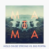 Hold On Be Strong Vs. Big Poppa (Matoma Remix)