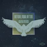 BEFORE.NOW.AFTER Pro Mix
