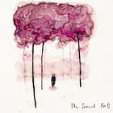 No sevis vairs nav bail