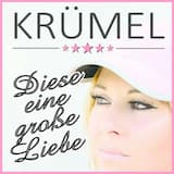 Diese eine große Liebe (Single Version)