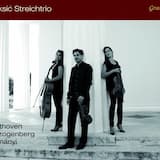 Trio G-Dur, op. 9 Nr. 1: I. Adagio - Allegro con brio