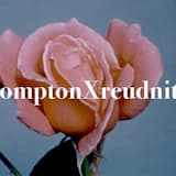Compton X Reudnitz