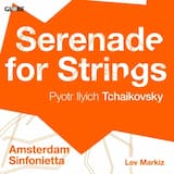 Serenade for Strings in C major, op. 48: I. Pezzo in forma di sonatina. Andante non troppo - Allegro moderato