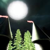 I: Foreword: Amycus Carrow