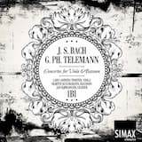 Concerto in E-flat major for Viola, Strings, and Basso Continuo: I