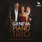 Piano Trio in A Minor, Op. 50, TH 117: Tema con variazioni, Variation II: Più mosso