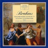Violinkonzert D-Dur op. 77: III. Allegro giocoso, ma non troppo vivace - Poco più presto
