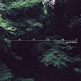 Changing Child Part II