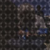 March of the Cicadas