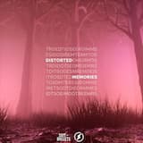 Distorted Memories
